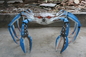 Blue Crab Animal Fiberglass Marine life Sculpture Customized